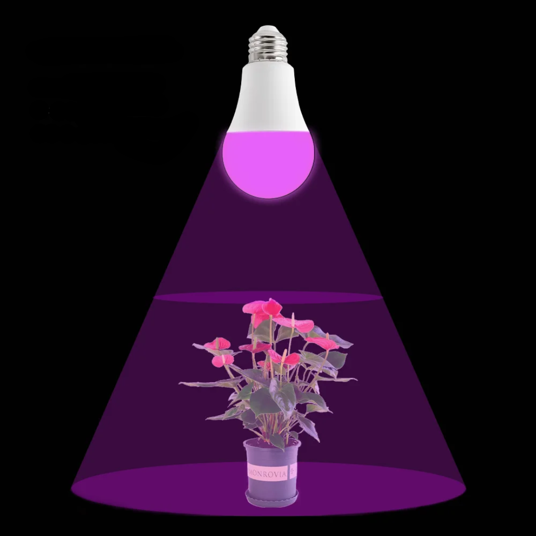 Lot de 2 ampoules horticoles