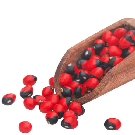 Graines de Pois rouges • Abrus Precatorius