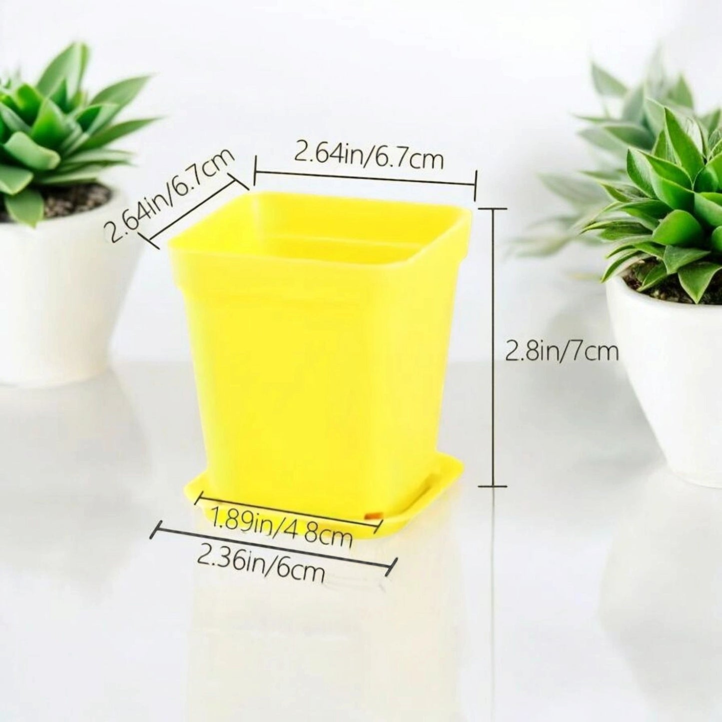 Lot de 6 petits pots pour succulentes