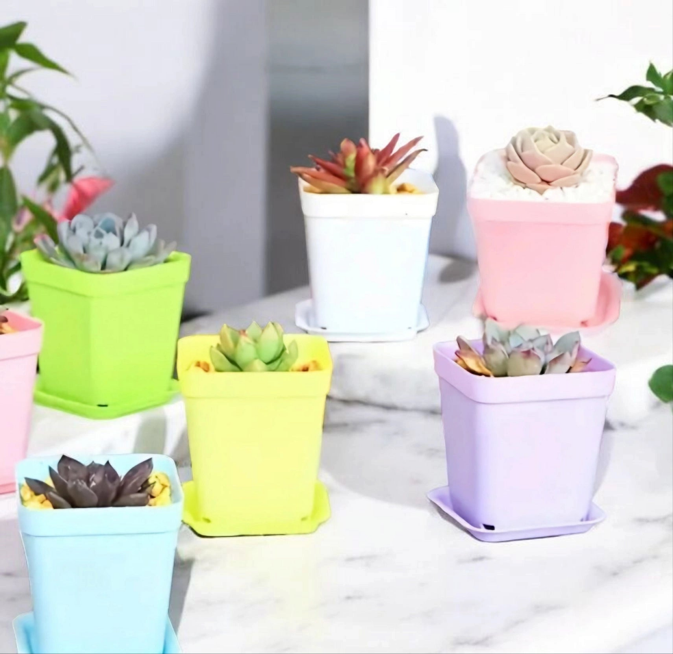 Lot de 6 petits pots pour succulentes