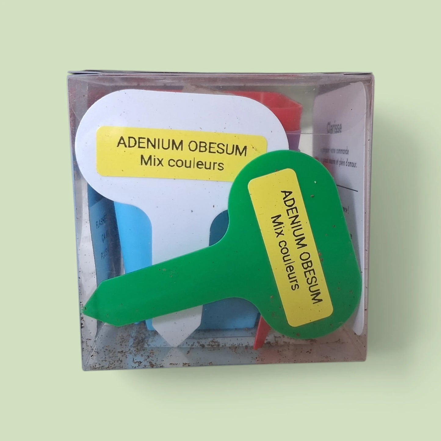 Kit de culture de l'Adenium Obesum ou Rose du Désert