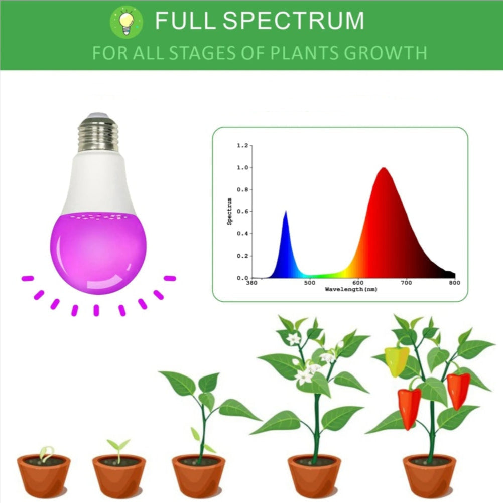 ampoule de croissance spectre entier