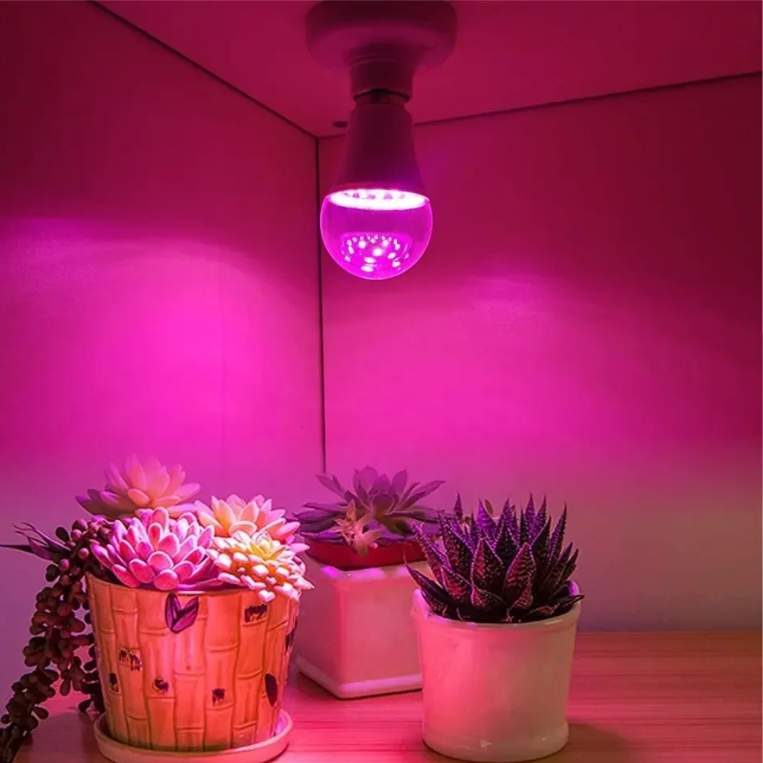 ampoule horticole spectre entier de couleur rouge et bleu