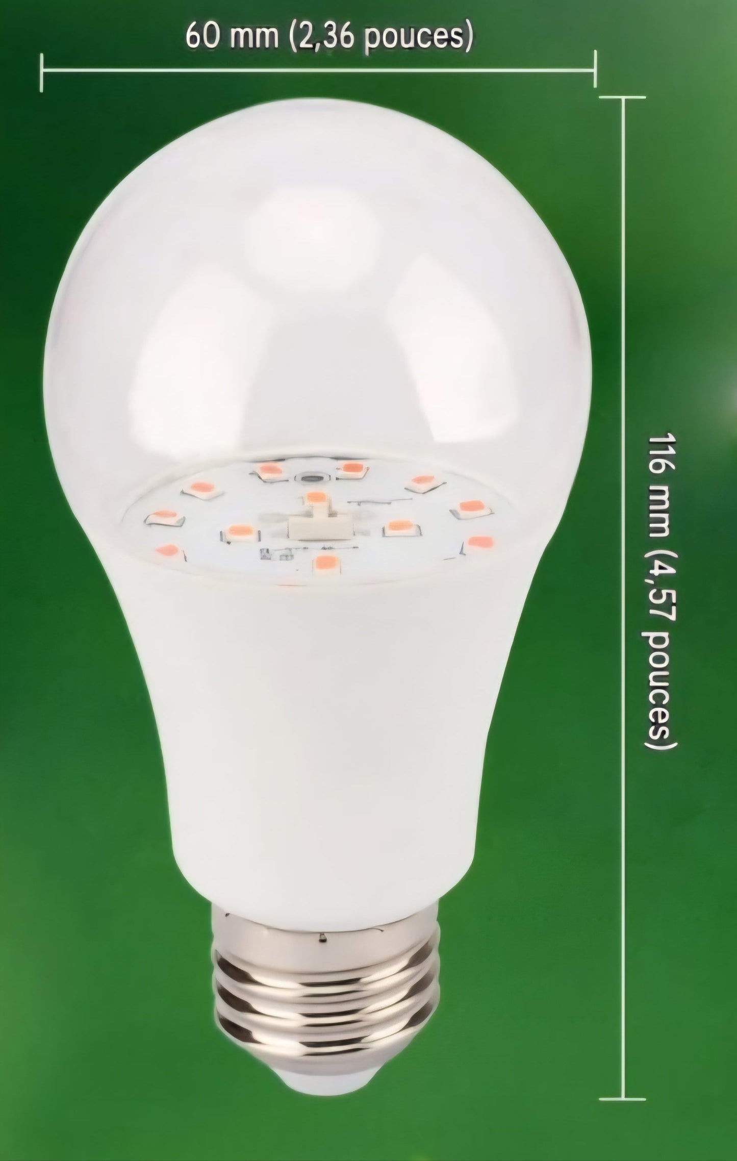 ampoule horticole pour semis et plantes