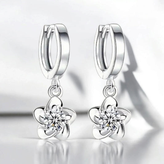 BOUCLES D'OREILLES EN ARGENT SHINY