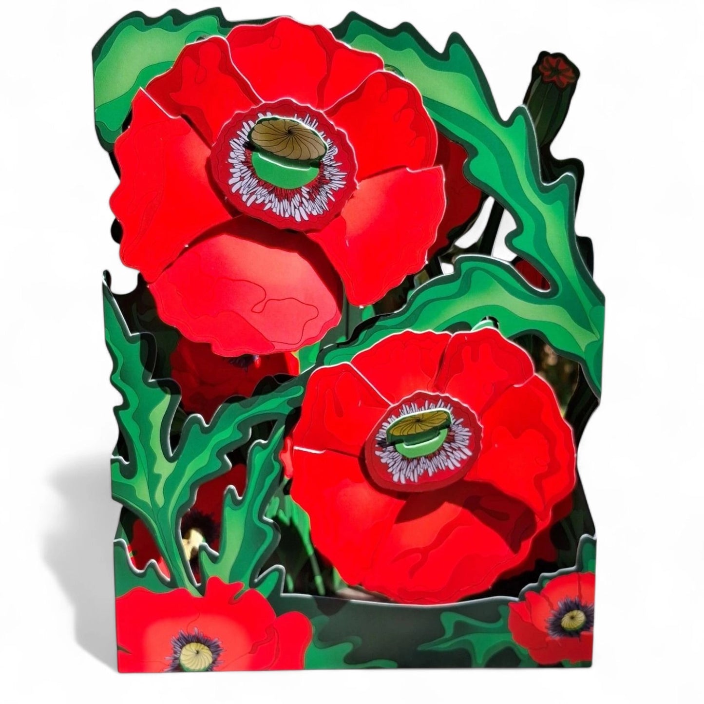 Carte de voeux à envoyer bouquet de coquelicots en relief 3 dimensions