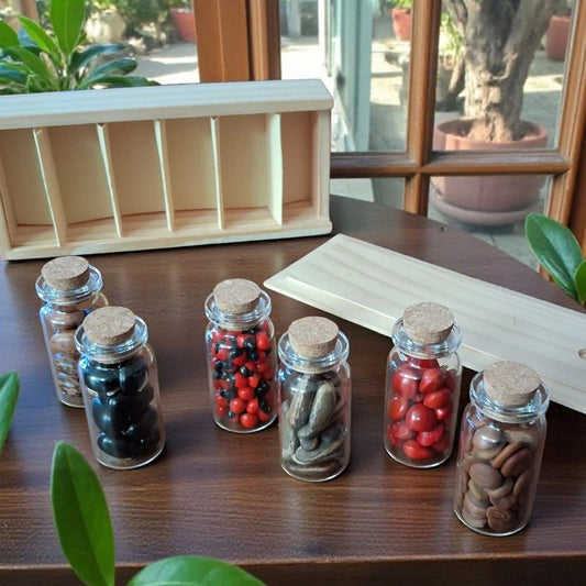 Collection de prestige de 6 variétés de graines tropicales