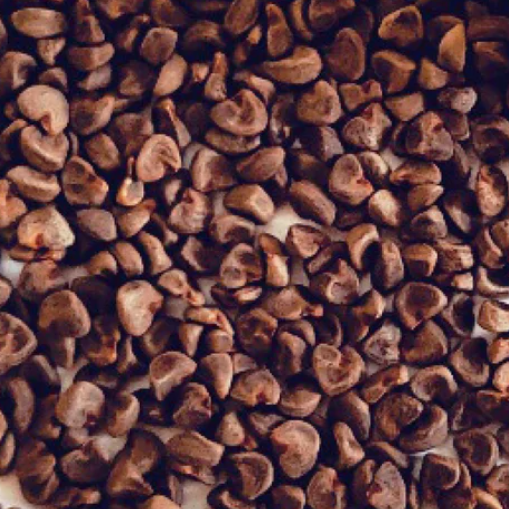 20 graines d'Hibiscus Sabdariffa - Oseille de Guinée - Roselle