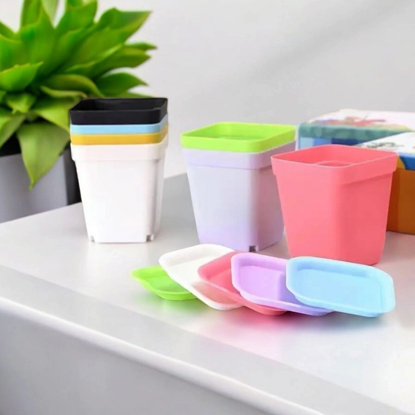 Petits pots colorés pour les semis ou succulentes