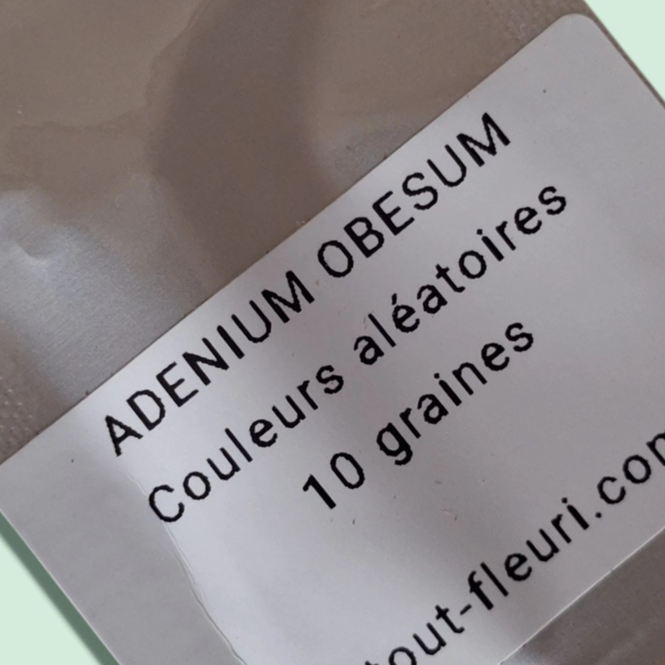 Kit de culture de l'Adenium Obesum ou Rose du Désert