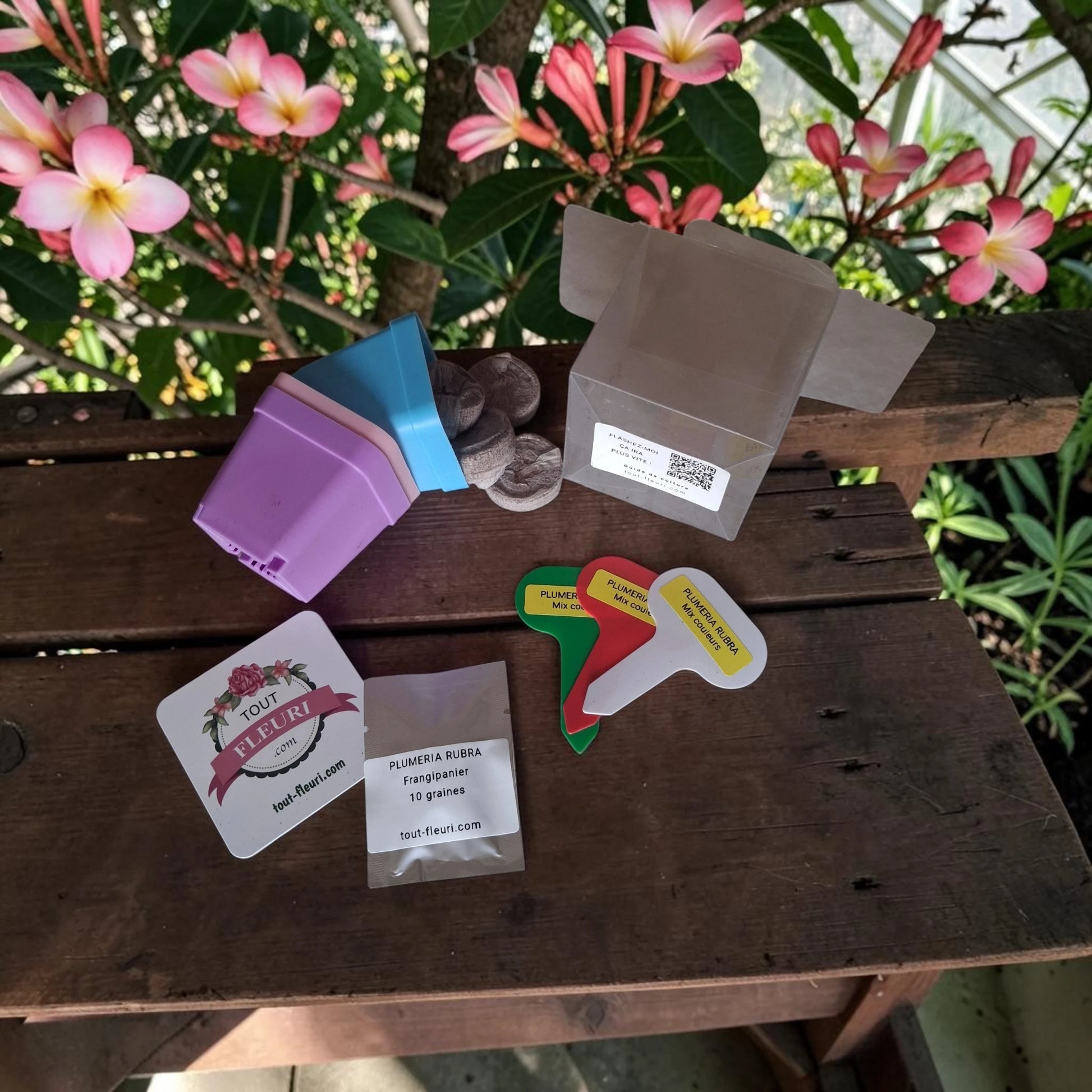 kit de culture du Plumeria rubra comprenant un sachet de 10 graines, 3 petits pots en plastique colorés, 6 pastilles de coco, 3 marque-plantes et un flash code avec toutes les instructions de culture.