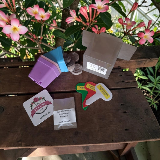 kit de culture du Plumeria rubra comprenant un sachet de 10 graines, 3 petits pots en plastique colorés, 6 pastilles de coco, 3 marque-plantes et un flash code avec toutes les instructions de culture.