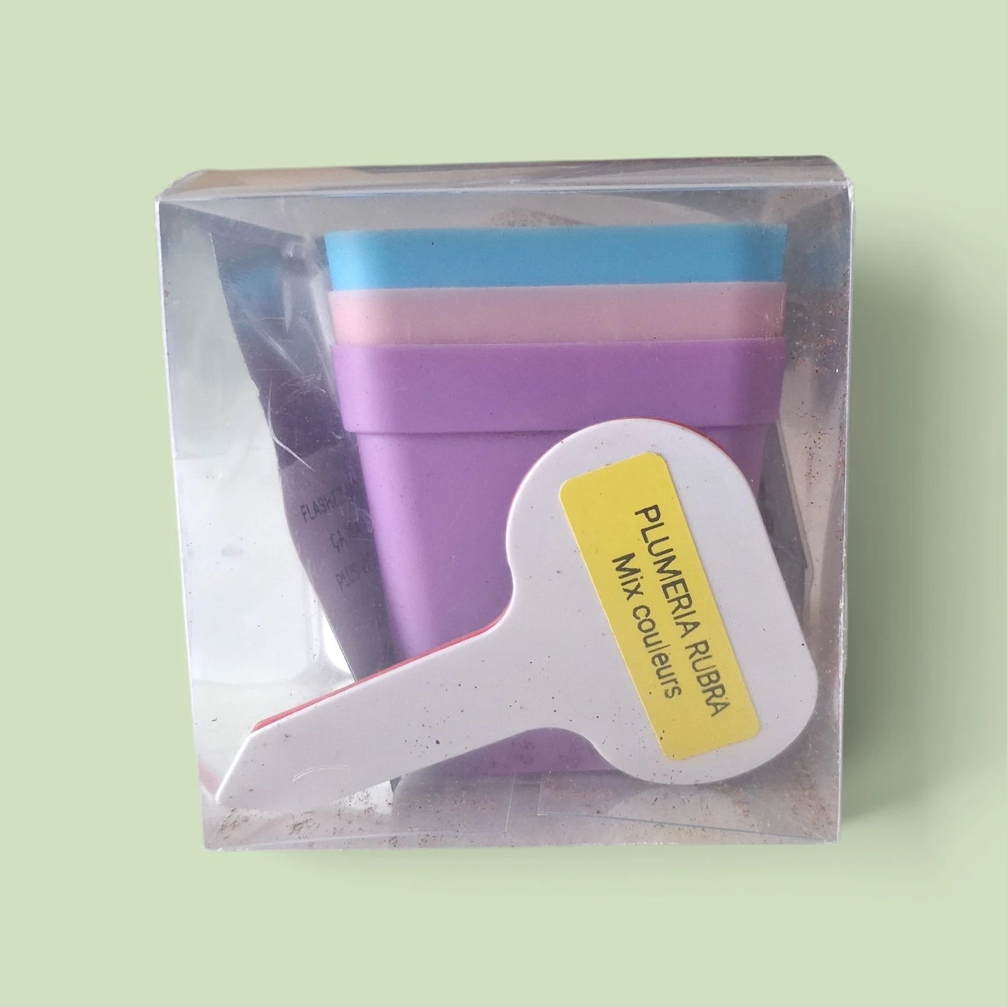 Kit de culture du Plumeria Rubra ou Frangipanier