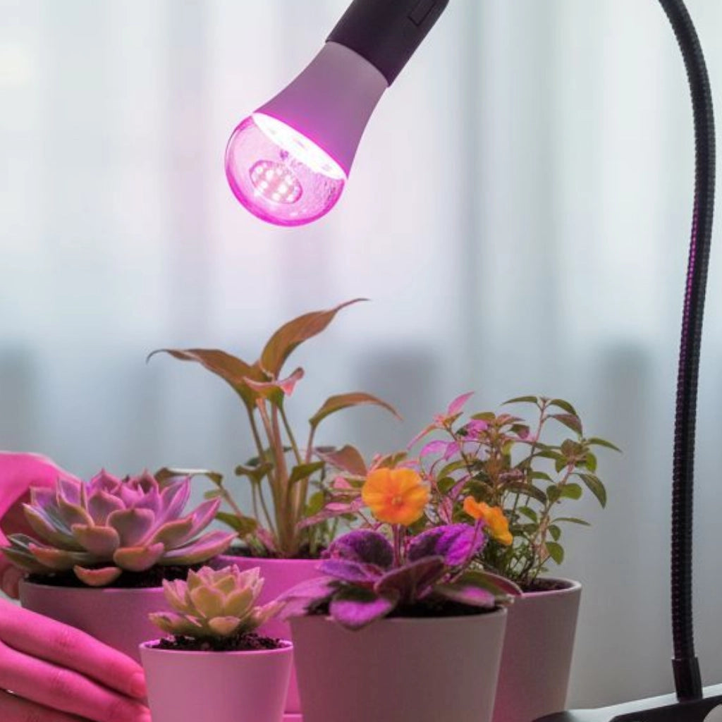 lampe horticole