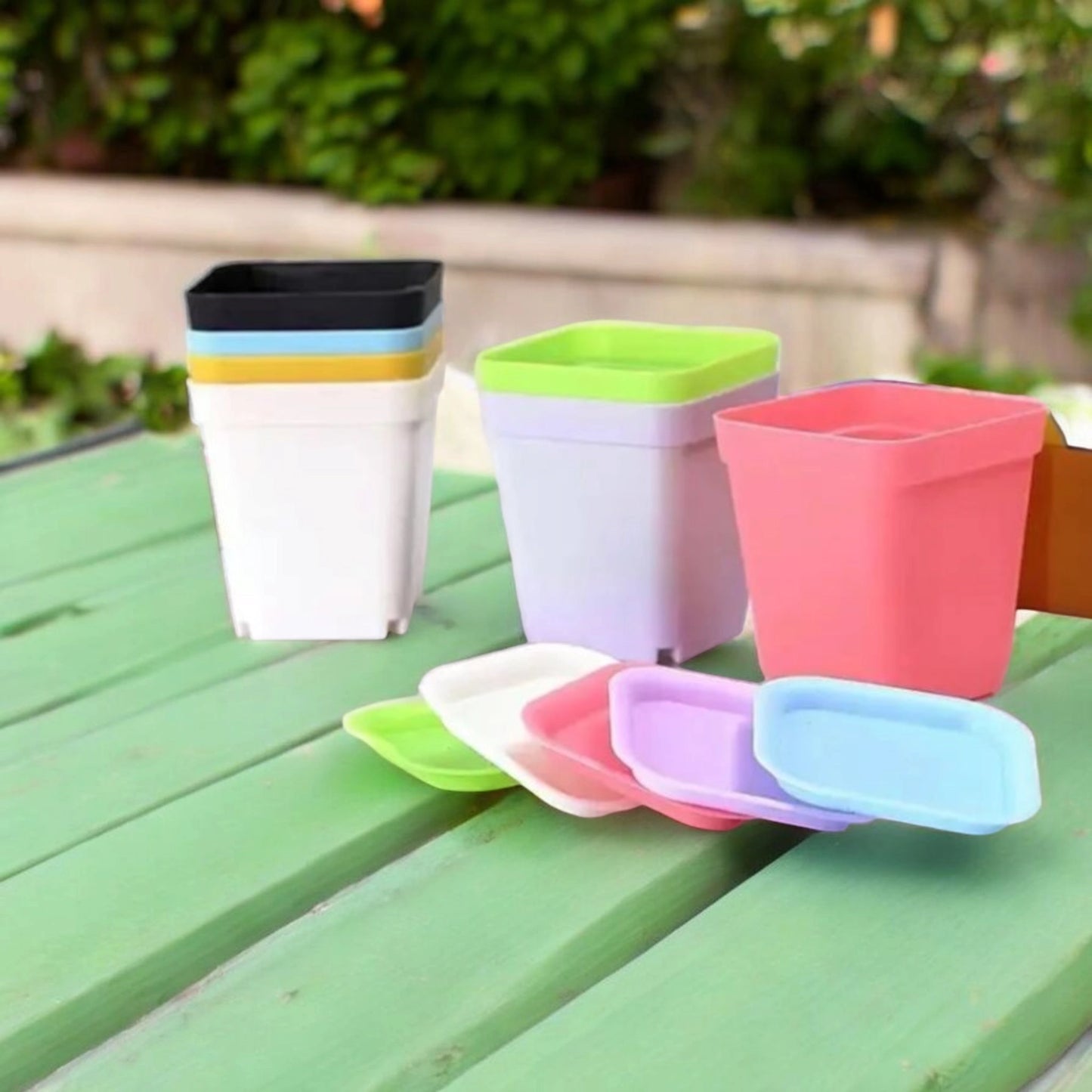 Lot de 6 petits pots pour succulentes