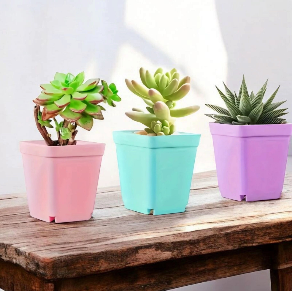 Lot de petits pots de semis colorés réutilisables