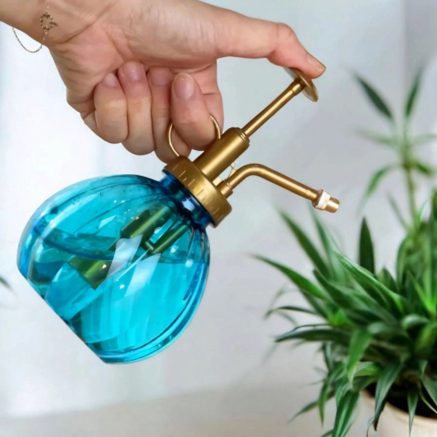 Pulvérisateur bleu pour plantes 