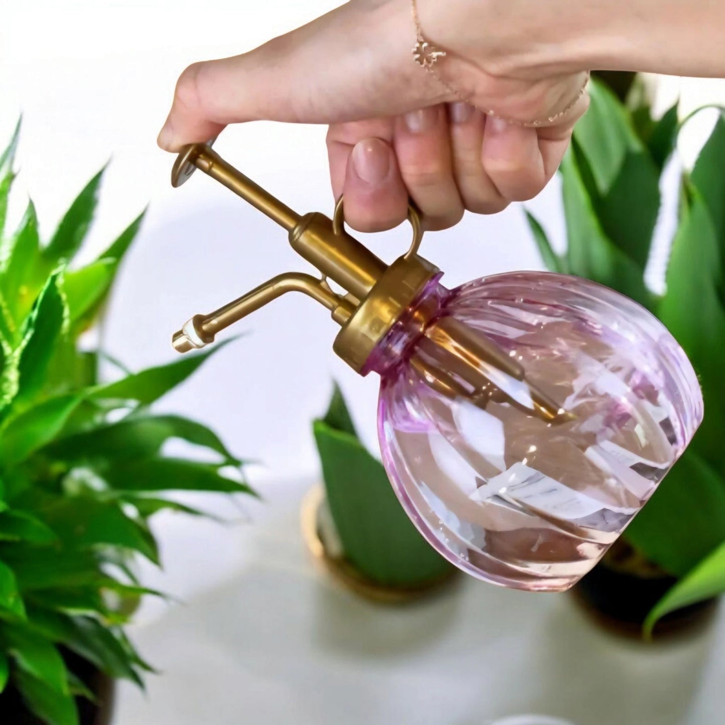 Pulvérisateur rose pour plantes et succulentes