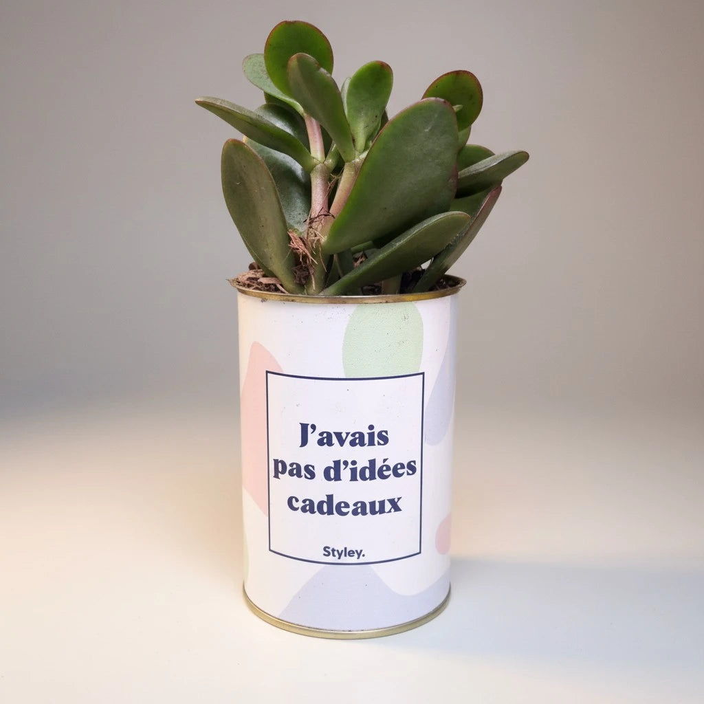 Plante en pot "J'avais pas d'idées cadeaux"