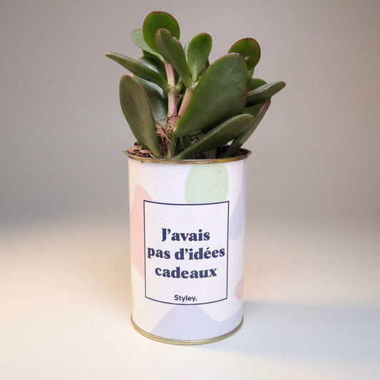 Plante en pot "J'avais pas d'idées cadeaux"