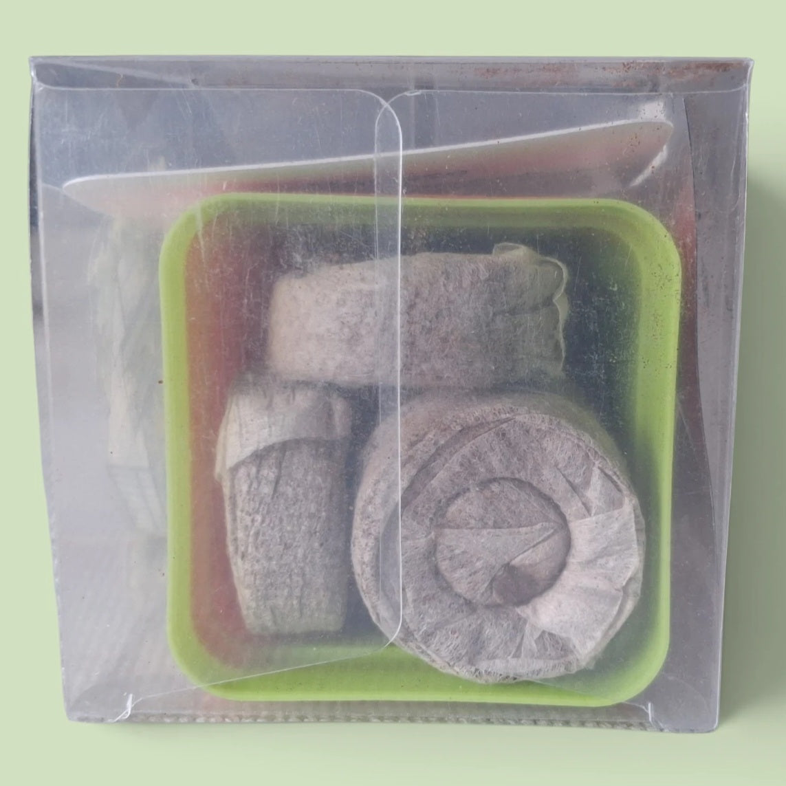 Kit de culture de Crotalaria Cunninghamii