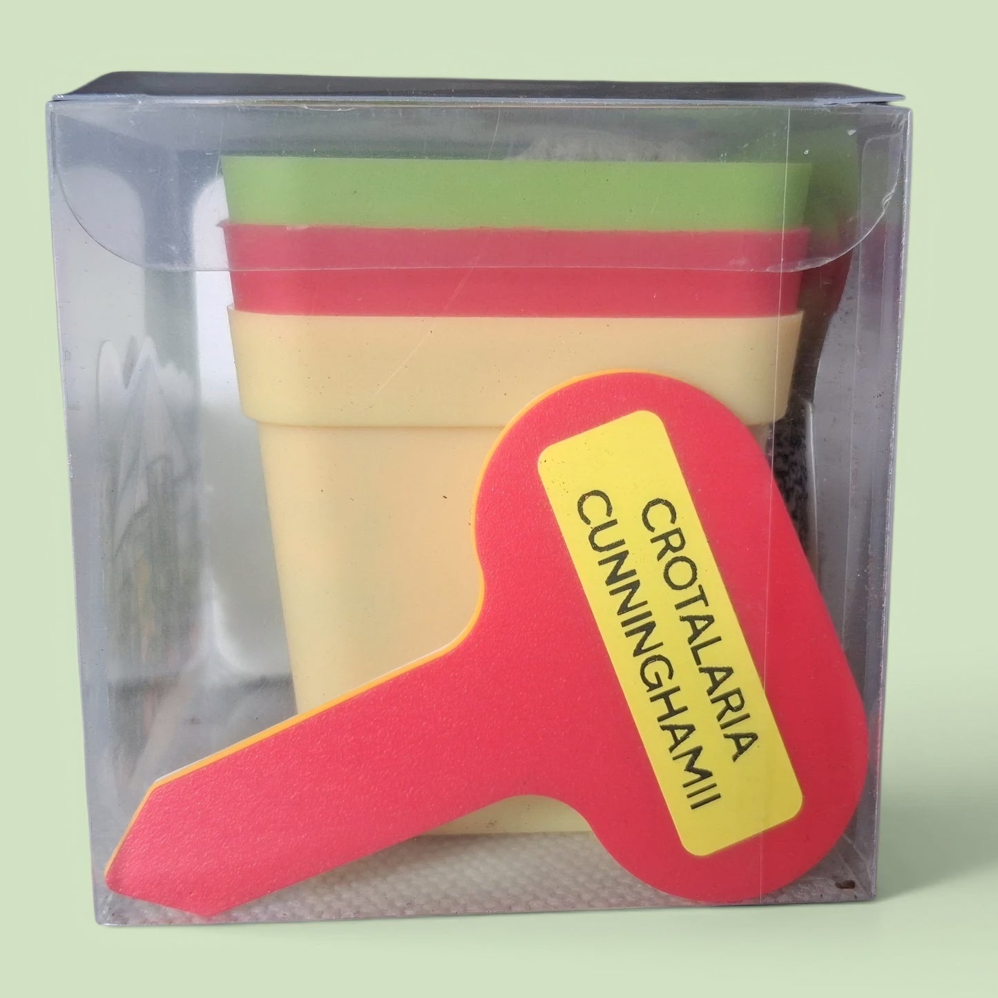 Kit de culture de Crotalaria Cunninghamii