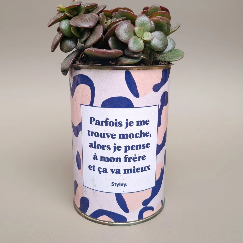 Plante en pot "Parfois je me trouve moche..."
