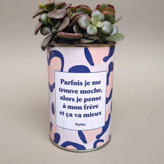 Plante en pot "Parfois je me trouve moche..."