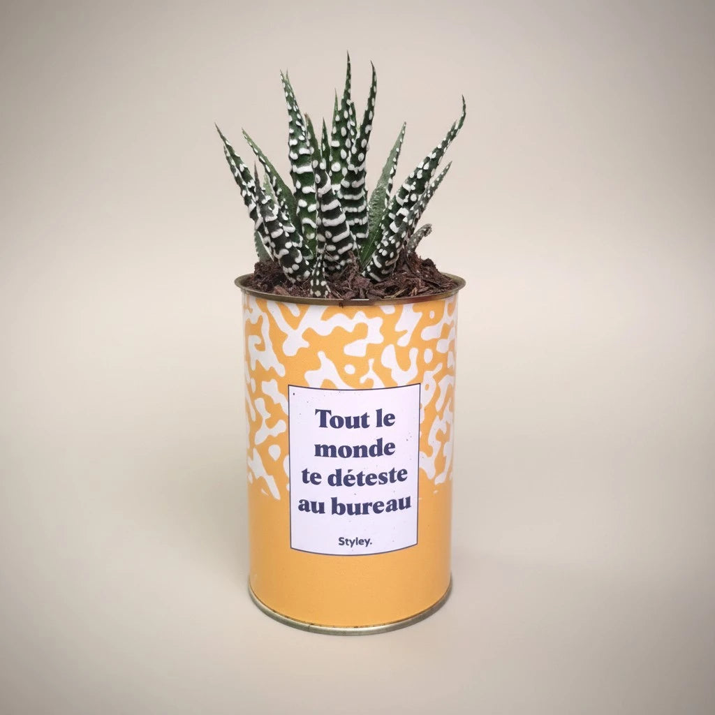Plante en pot "Tout le monde te déteste au bureau"