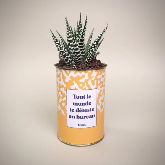 Plante en pot "Tout le monde te déteste au bureau"
