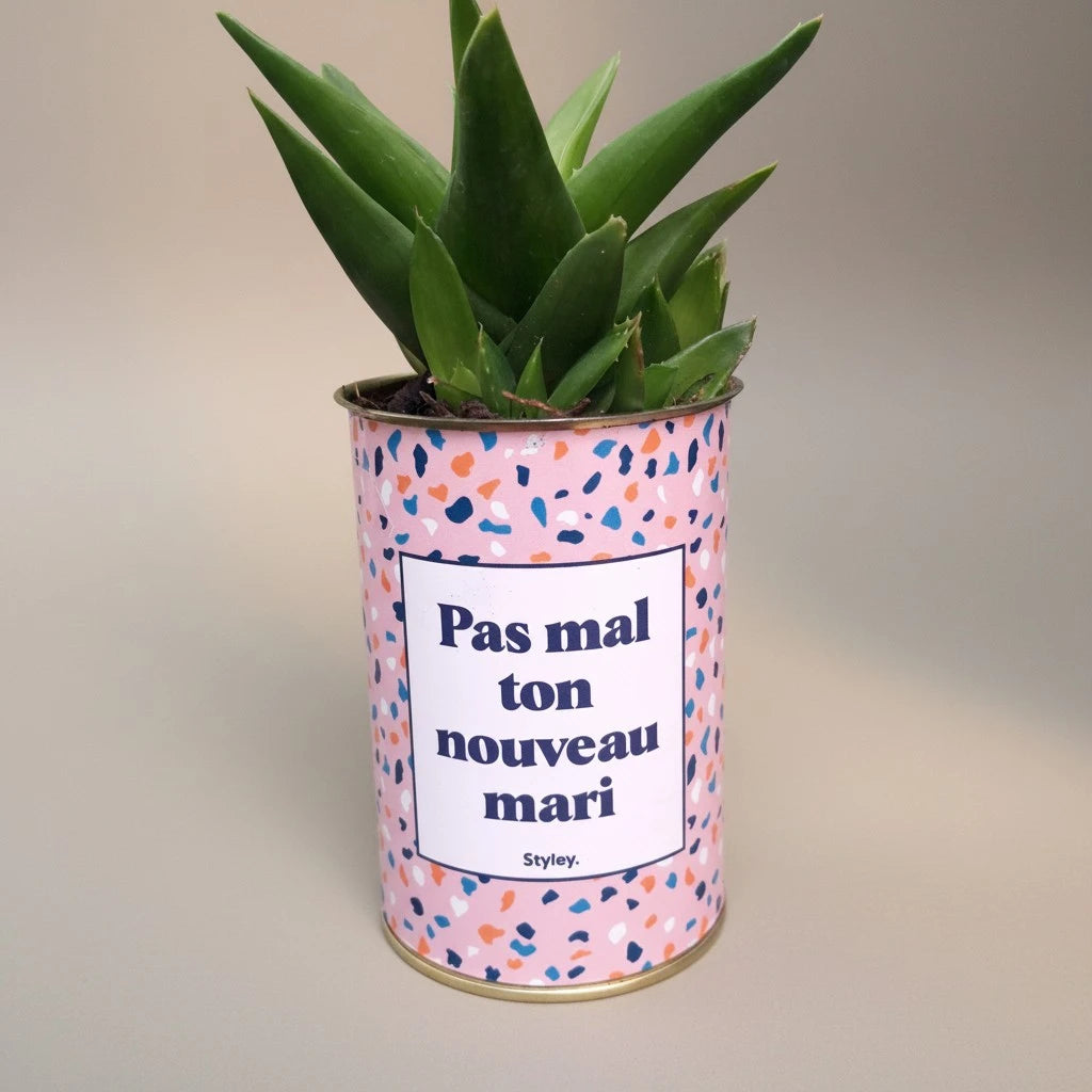 Plante en pot "Pas mal ton nouveau mari"