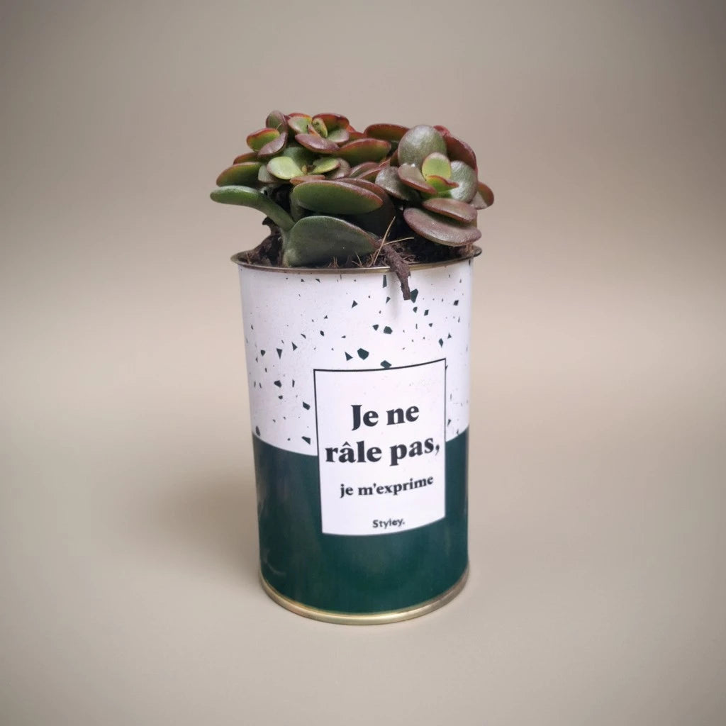 Plante en pot "Je ne râle pas, je m'exprime"