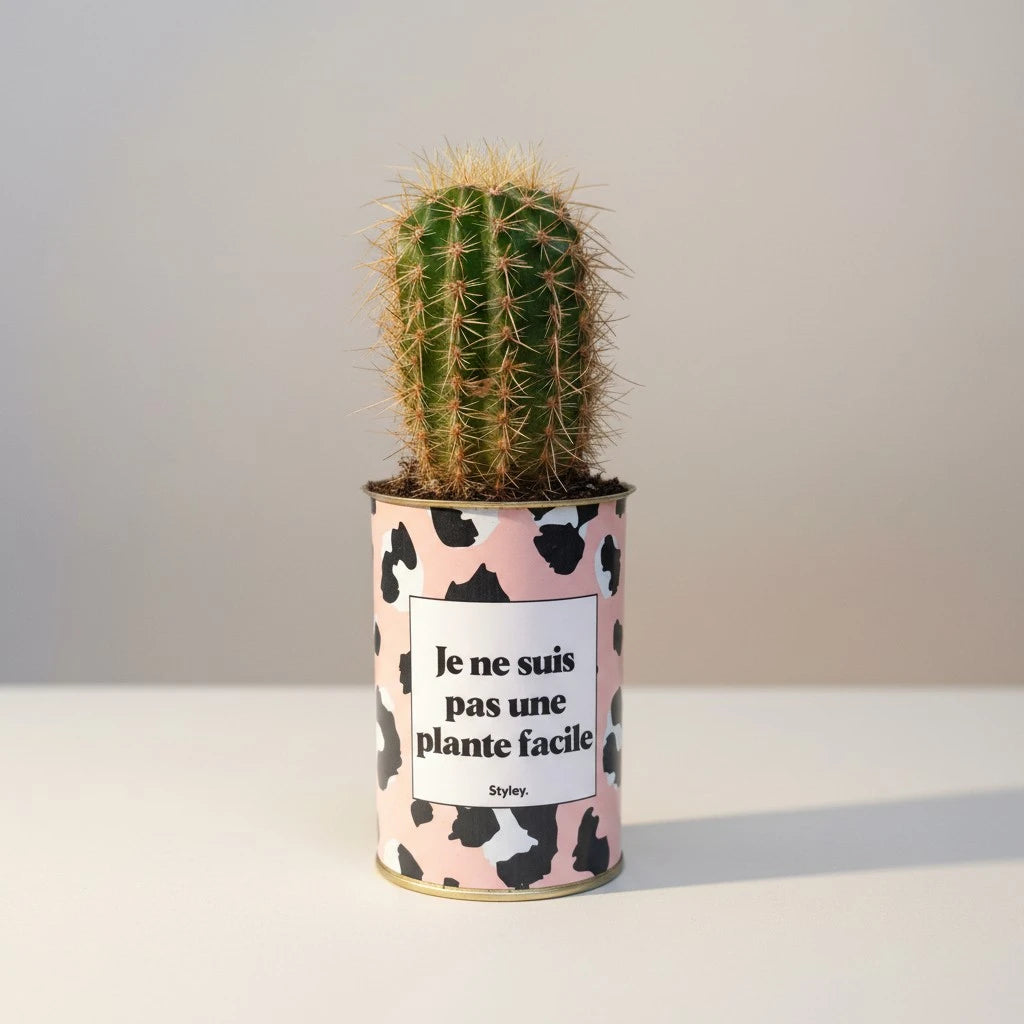 Plante en pot "Je ne suis pas une plante facile"