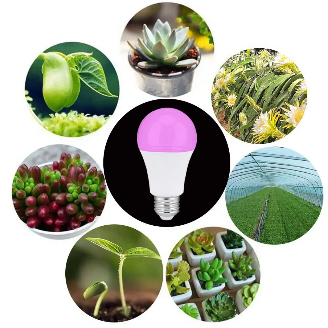 Lot de 2 ampoules horticoles