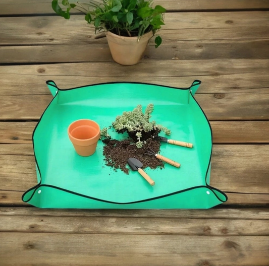 TAPIS DE REMPOTAGE