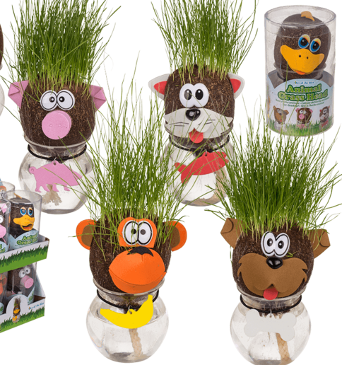 Tête de graines d'herbe animaux