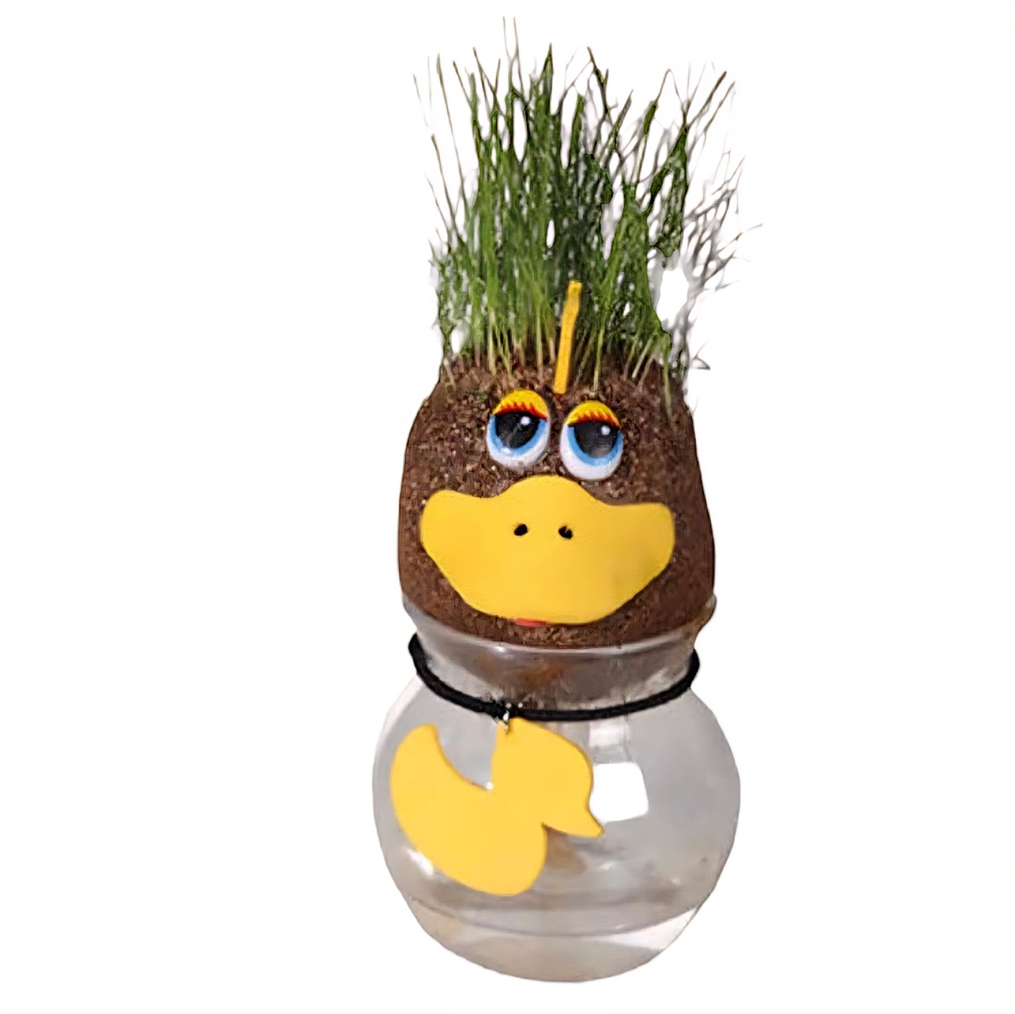 Tête de graines d'herbe animaux