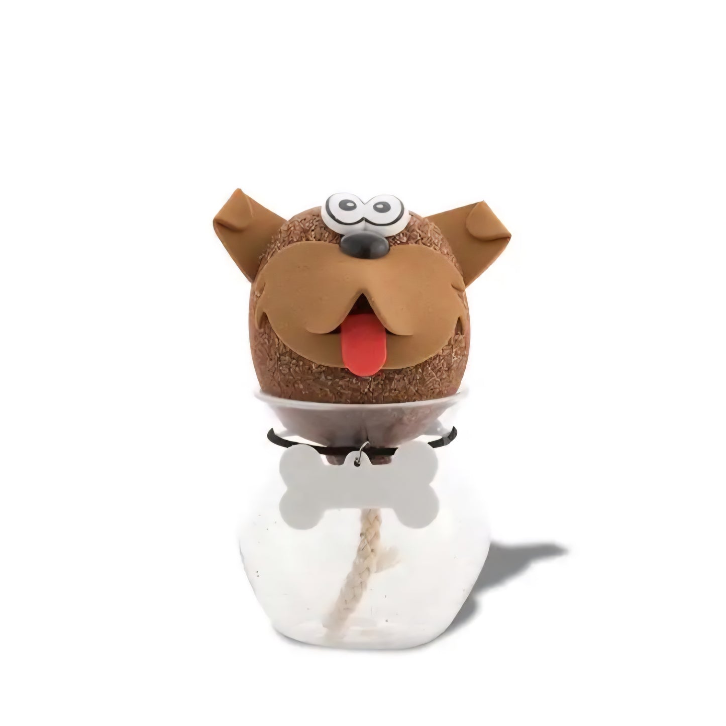 Tête de graines d'herbe animaux