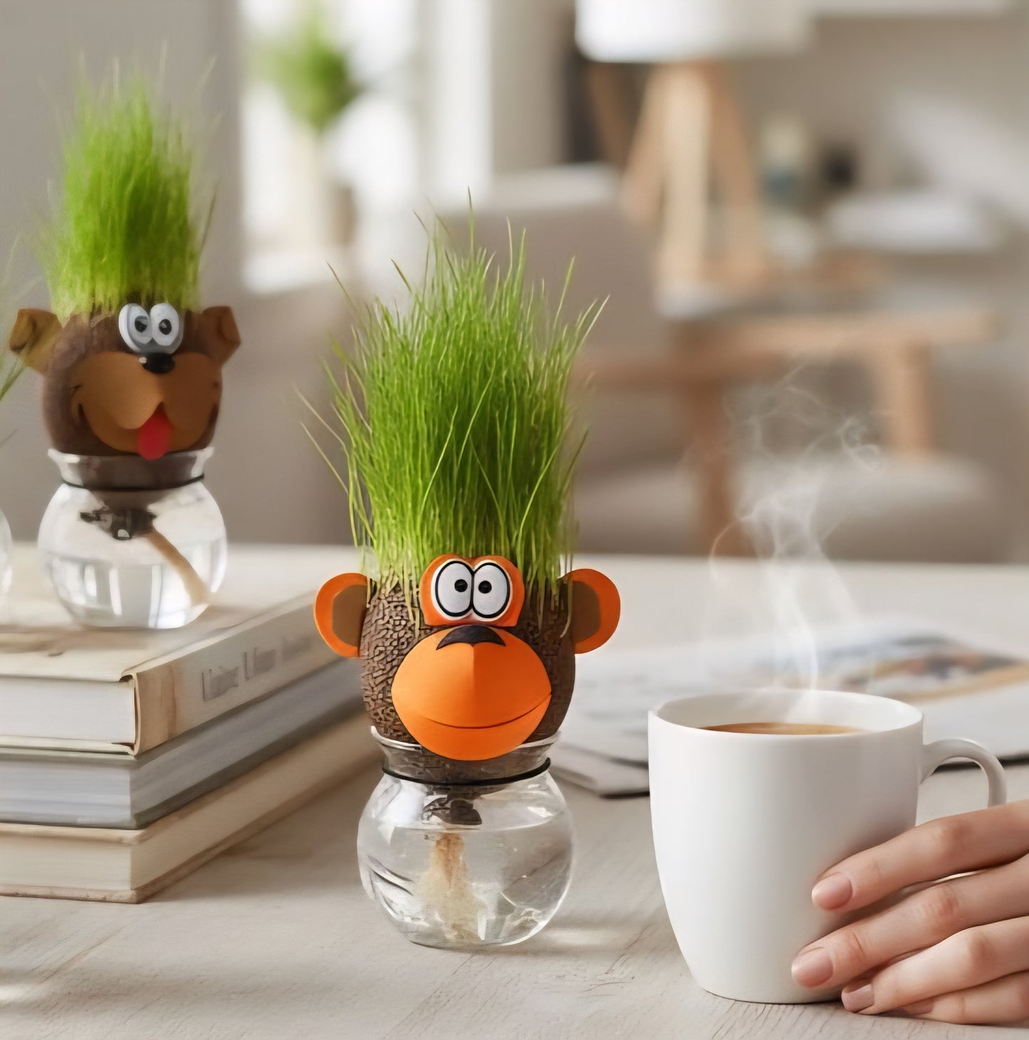 Tête de graines d'herbe animaux