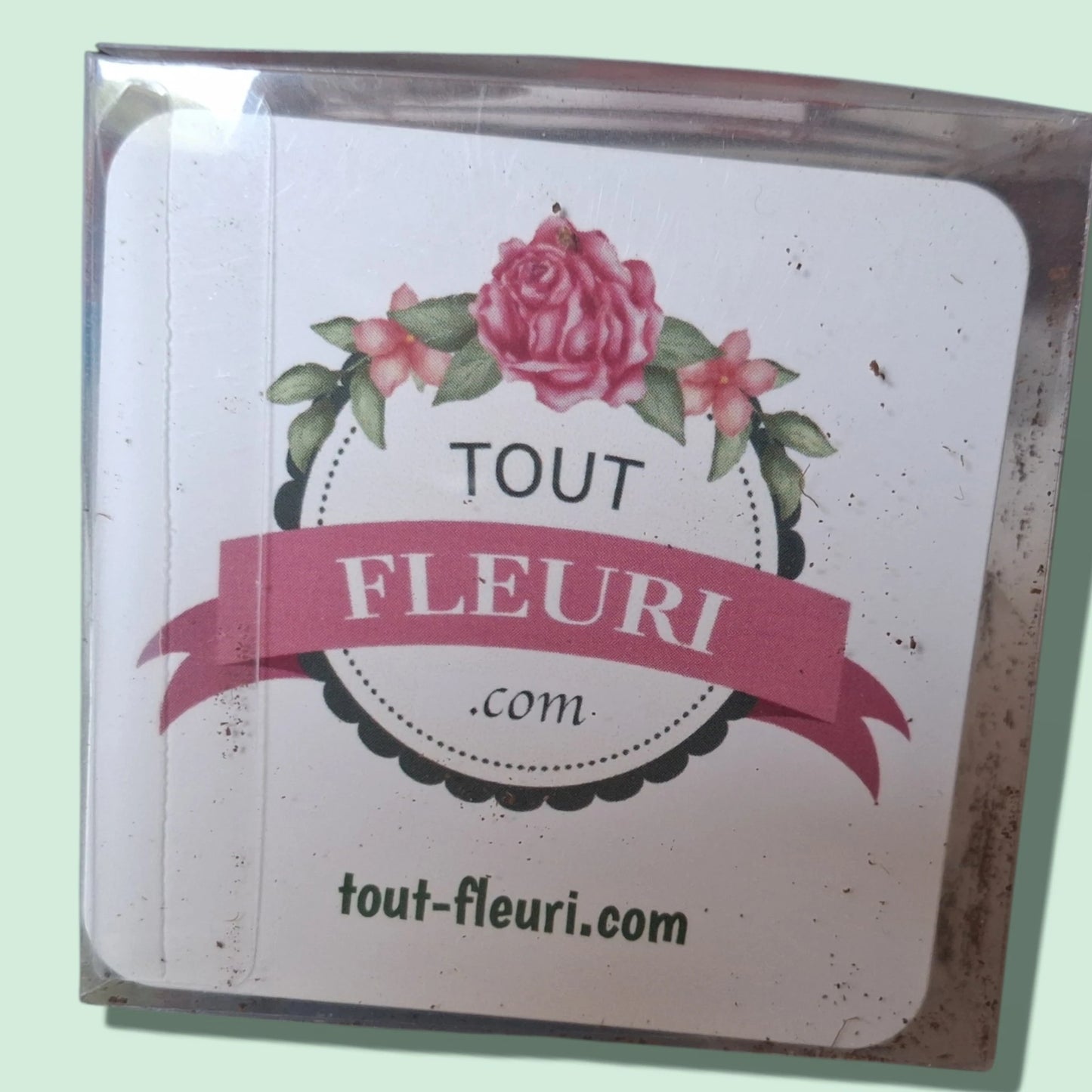 Kit de culture de l'Adenium Obesum ou Rose du Désert